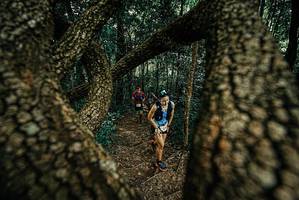 BIB: 
                            <button type="button" onclick="openModal(25668118)" class="btn btn-primary btn-sm float-right btn-popup" data-toggle="modal" data-target=".modal-high-quality">
                        <i class="fas fa-shopping-cart"></i> Add to Cart
                    </button>
                                            <button type="button" onclick="isThisMe(25668118, true)" class="btn btn-success btn-sm float-right btn-popup btn-isme hidden" data-toggle="tooltip" data-placement="bottom" title="นี่คือรูปของคุณใช่ไหม คลิกที่นี่เพื่อเอาเข้าอัลบั้ม">
                        <i class="fas fa-plus"></i> Add to album
                    </button>
                    <button type="button" onclick="isThisMe(25668118, false)" class="btn btn-warning btn-sm float-right btn-popup btn-isnotme hidden">
                        <i class="fas fa-ban"></i> Remove from album
                    </button>